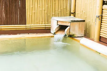 Hotel Shiroyama Yugawara